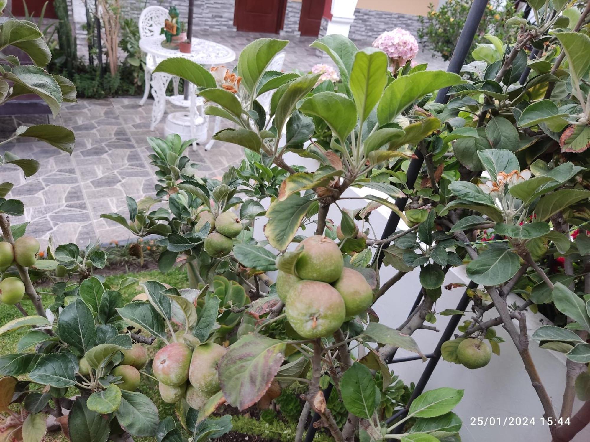 Hotel Casa Baraquel Arequipa Zewnętrze zdjęcie